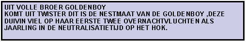 Tekstvak: UIT VOLLE BROER GOLDENBOY                                     KOMT UIT TWISTER DIT IS DE NESTMAAT VAN DE GOLDENBOY ,DEZE DUIVIN VIEL OP HAAR EERSTE TWEE OVERNACHTVLUCHTEN ALS JAARLING IN DE NEUTRALISATIETIJD OP HET HOK.